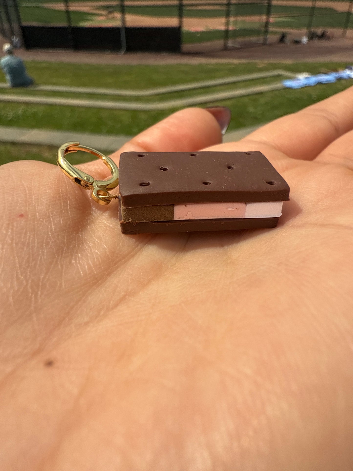 Ice Cream Sandwiches