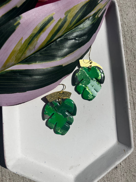 Monstera Leaf