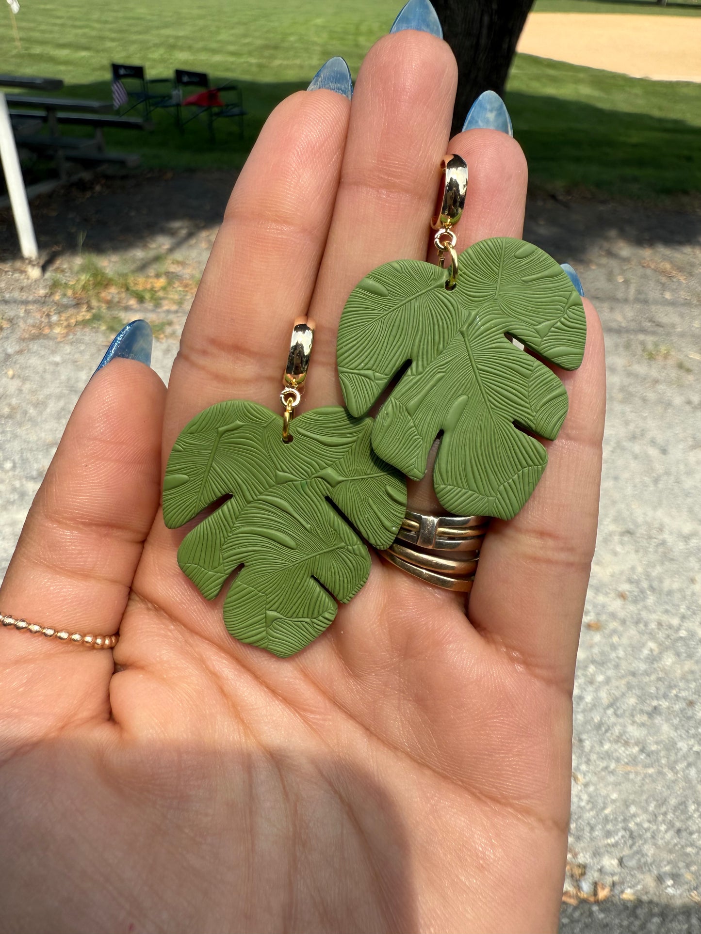 Monstera Leaf