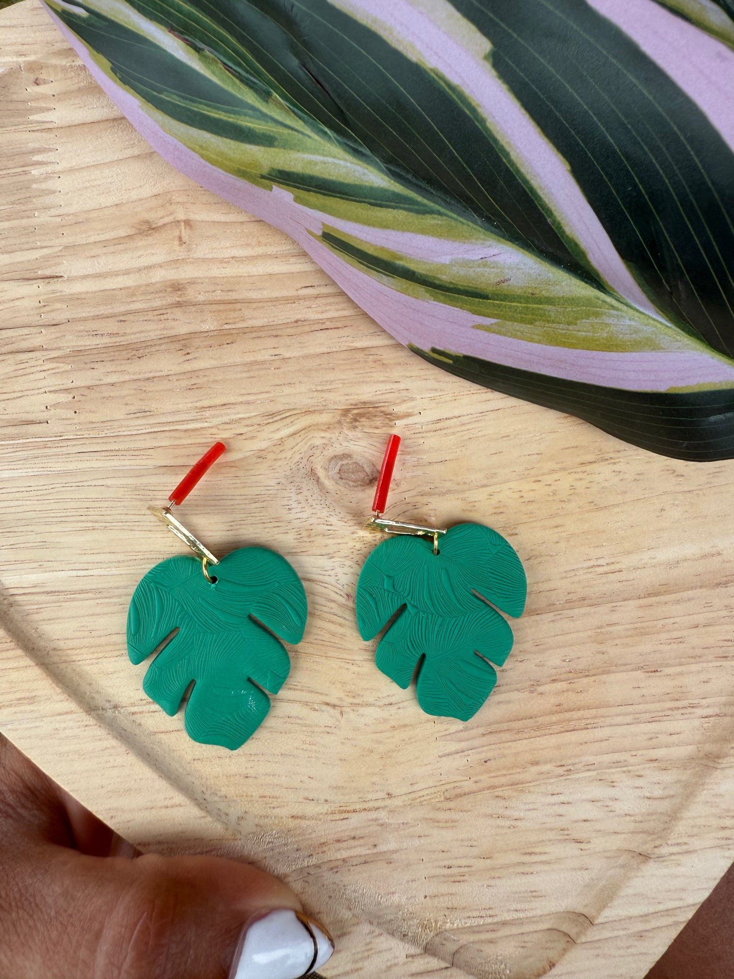 Monstera Leaf